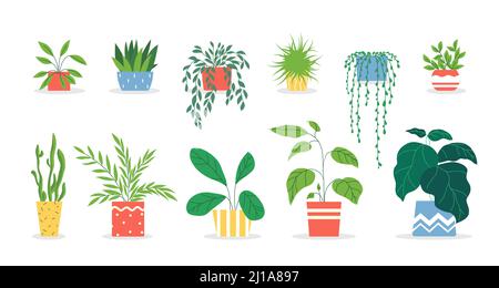 Set di piante in vaso. Piante di casa in pentole colorate, succulente, giardino di casa, alberi interni. Illustrazione vettoriale per interni, botanica, decorazioni per abitazioni conc Illustrazione Vettoriale