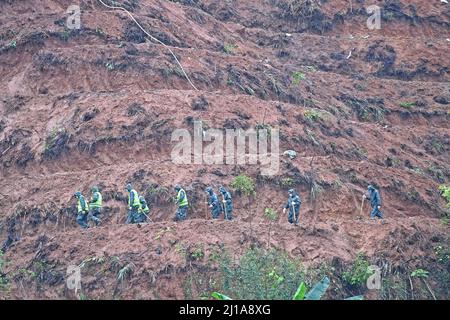 Contea di Tengxian, Cina. 24th Mar 2022. (I soccorritori cercano l'altra scatola nera nella zona intorno al luogo di incidente dell'aereo nella contea di Tengxian, regione autonoma di Guangxi Zhuang della Cina del sud, 24 marzo 2022. Una scatola nera dell'aereo passeggeri della China Eastern Airlines che si è schiantato lunedì nella regione autonoma di Guangxi Zhuang nella Cina meridionale è stata recuperata mercoledì pomeriggio. La scatola nera recuperata è creduta per essere il registratore di voce del cockpit, un funzionario di aeronautica ha detto un briefing della stampa il mercoledì sera. Credit: Xinhua/Alamy Live News Foto Stock