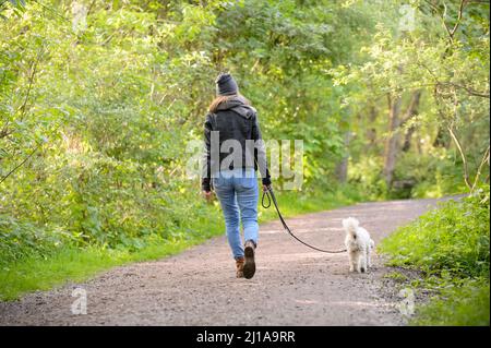 Amburgo, Germania. 14th maggio 2020. Una giovane donna sta camminando l'Avanese nel Moor di Eppendorfer a Groß Borstel. Credit: Jonas Walzberg/dpa/Alamy Live News Foto Stock