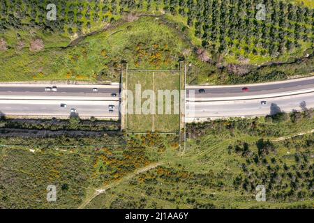 Wildlife che attraversa il ponte consentendo agli animali un passaggio sicuro su una strada rurale. Foto Stock