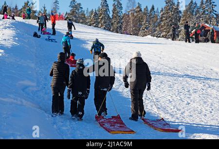 Umea, Norrland Svezia - 19 febbraio 2022: Le persone sulle piste da sci tirano le loro slitte Foto Stock