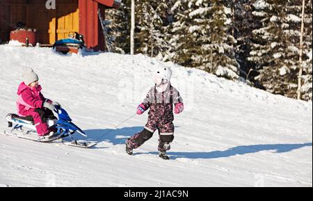 Umea, Norrland Svezia - 19 febbraio 2022: Due bambini slittano su una pista da sci Foto Stock