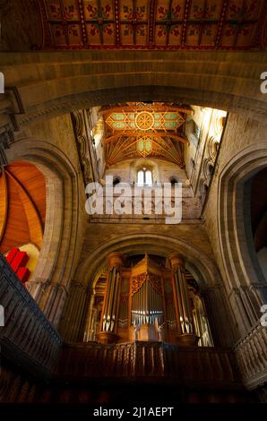 Interno St David's Cathedral organ Pembrokeshire West Wales UK guardando verso l'alto il soffitto centrale della volta inferiore verticale ritratto Foto Stock