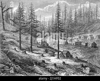 Capanne di tronchi, foreste, foreste e capanne di tronchi in Grass Valley California nella Sierra Nevada Mountain Range Stati Uniti, Stati Uniti d'America o Stati Uniti d'America. Illustrazione o incisione 1860. Foto Stock