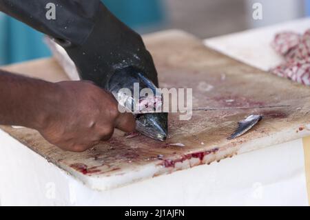 Un pescatore che pulisce il suo pesce appena pescato al mercato, Golfo Arabo, Emirati Arabi Uniti Foto Stock