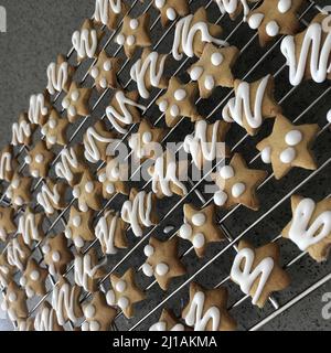 biscotti appena sfornati e ghiacciati a forma di stella su una griglia rinfrescante decorata con glassa reale bianca in file uniformemente spaziate Foto Stock