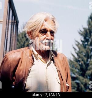 Die Ameisen kommen, aka Gauner, Gangster und Ganoven, Spielfilm, Deutschland 1974, Regione: Jochen Richter, Darsteller: Rolf Illig (?) Foto Stock