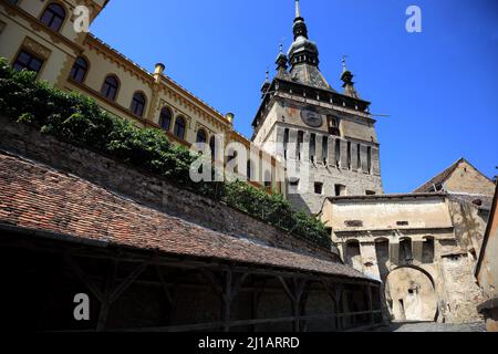 Der Stundturm, Turnul cu Ceas, Sighisoara, Schäßburg, Saxoburgum, im Kreis Mures in Siebenbürgen, Rumänien. Ihr Historisches Zentrum wurde 1999 zum Onu Foto Stock