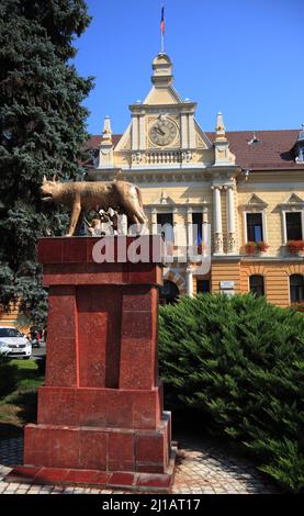 Denkmal Die kapitolinische Wölfin säugt die Knaben Romulus und Remus vor dem Rathaus von Brasov, Kronstadt, Siebenbürgen, Rumänien / Monumento la CA Foto Stock