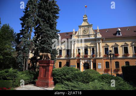 Denkmal Die kapitolinische Wölfin säugt die Knaben Romulus und Remus vor dem Rathaus von Brasov, Kronstadt, Siebenbürgen, Rumänien / Monumento la CA Foto Stock