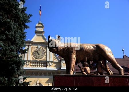 Denkmal Die kapitolinische Wölfin säugt die Knaben Romulus und Remus vor dem Rathaus von Brasov, Kronstadt, Siebenbürgen, Rumänien / Monumento la CA Foto Stock