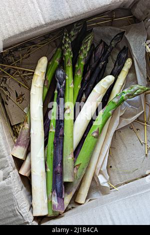 Asparagi crudi bianchi, viola, verdi in una scatola. Concetto di cibo crudo (consegna). Foto Stock