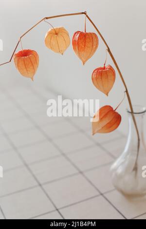 fiori rossi physalis isolati su sfondo bianco con copyspace. Design minimalista composizione di fiori secchi in vaso in bianco interno di vita Foto Stock