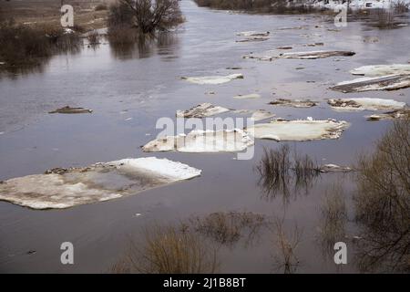 Allineati in fila, piccoli carri di ghiaccio bianchi galleggiano lungo il fiume. Primavera, neve si scioglie, erba secca tutto intorno, le inondazioni iniziano e il fiume trabocca. Giorno, tempo nuvoloso, luce calda e soffusa. Foto Stock