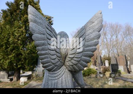 Vienna, Austria. Il cimitero centrale di Vienna. Vista posteriore di una statua d'angelo Foto Stock