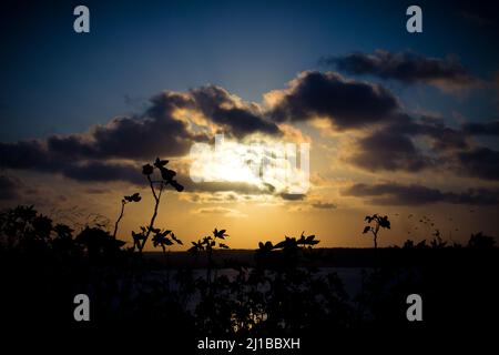 Piccole nuvole sparse nel cielo blu. Attrezzo di sostituzione soffitto. Foto Stock