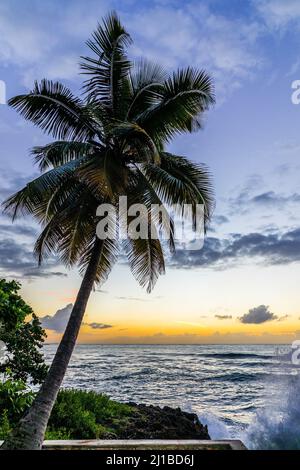 ALBA SUL MALECON, SANTO DOMINGO, REPUBBLICA DOMINICANA Foto Stock