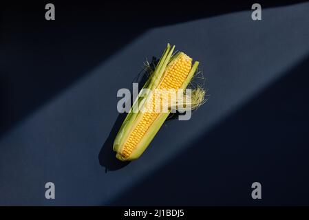 Un orecchio verde di mais. Granoturco succoso di un nuovo raccolto. Primo piano. Sfondo blu. Foto Stock