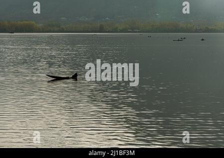 Srinagar, India. 24th Mar 2022. Un uomo fa la sua barca sul lago durante una nuvolosa giornata di primavera a Srinagar. Credit: SOPA Images Limited/Alamy Live News Foto Stock