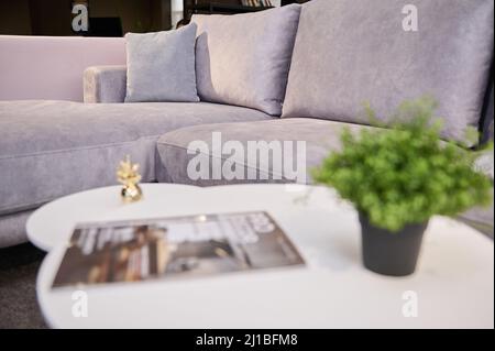 Morbido focus su un morbido divano imbottito in velluto con cuscini leggeri di colori pastello chiaro con tavolo da giornale sfocato con catalogo e verde vaso Foto Stock