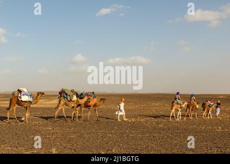 Caravan cammello con turisti che attraversano il deserto del Sahara. ERG Chebbi sullo sfondo. Foto Stock