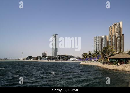 Illustrazione durante la Formula 1 TSC Saudi Arabian Grand Prix 2022, 2nd round del FIA Formula uno World Championship 2022, sul circuito di Jeddah Corniche, dal 25 al 27 marzo 2022 a Jeddah, Arabia Saudita - Foto Antonin Vincent / DPPI Foto Stock