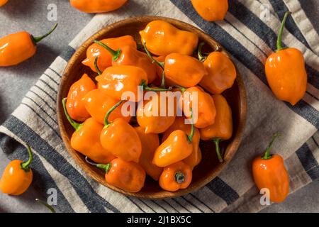 Peperoni Habanero crudi piccanti in una ciotola Foto Stock