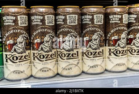 Samara, Russia - 17 marzo 2022: Velkopovicky Kozel birra in scatola alcolica sulla mensola in superstore. Varie bevande alcoliche in bottiglia e spirito Foto Stock