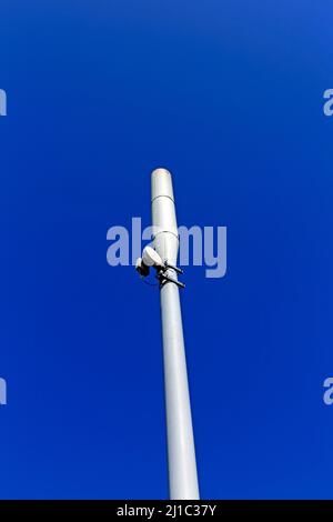 Un albero di telefono cellulare visto contro un cielo blu chiaro Foto Stock