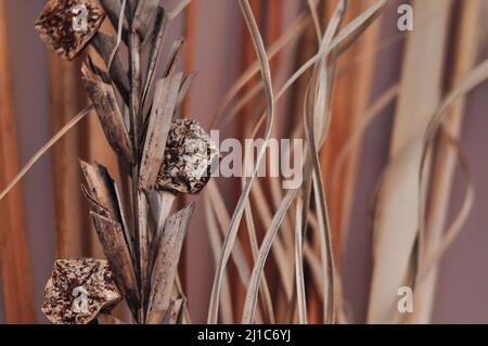 Primo piano di bouquet di fiori secchi marroni sfondo e carta da parati Foto Stock