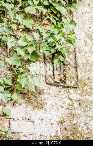 Aperture sulle antiche mura del Bastione del Principe Eugenio di Savoia presso la Fortezza Petrovaradin, Novi Sad, Serbia. Foto Stock