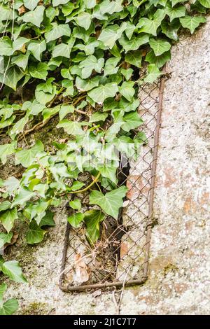 Aperture sulle antiche mura del Bastione del Principe Eugenio di Savoia presso la Fortezza Petrovaradin, Novi Sad, Serbia. Foto Stock