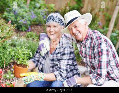 Condividere un amore per il giardinaggio. Una coppia anziana felice di giardinaggio occupato nel loro cortile posteriore. Foto Stock