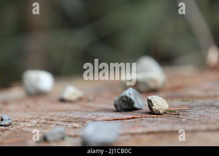Alcune rocce si concentravano tra le altre rocce che si siedono su un moncone. Foto Stock