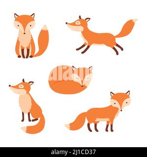 Carino fumetto volpe. Volpi della foresta, animali rossi con le code soffici. Carattere flat foxy che corre o in piedi. Illustrazione Vettoriale
