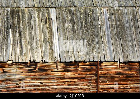 Il primo piano del granaio di tronchi mostra tronchi intagliati e montati. La linea del tetto è in pannelli di tenuta stratificati. Foto Stock
