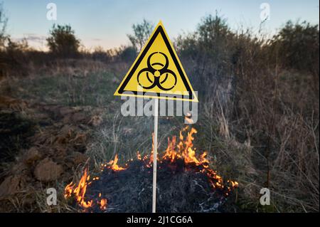 Brucia erba secca e segno di rischio biologico. Triangolo giallo con simbolo di rischio biologico che segnala la presenza di materiali biologici pericolosi in campo con incendio. Concetto di ecologia e disastro naturale. Foto Stock