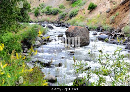 Grande masso siede nel letto del fiume vicino all'entrata nord al Parco Nazionale di Yellowstone. Foto Stock