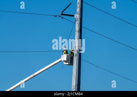 Operai di costruzione elettrica o linemen che lavorano in una benna elevata per eseguire nuove linee di trasmissione elettrica. Foto Stock