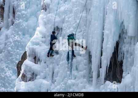 Un arrampicatore a sinistra sale come un altro arrampicatore a destra si arrampica su una parete di ghiaccio alta 160' nel Parco di ghiaccio di Ouray, Colorado. Il climber a destra è carr Foto Stock