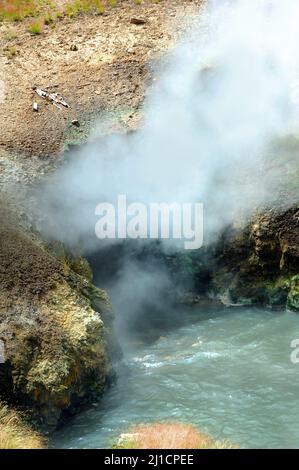 Il vapore e i vapori fuggono da un punto di riferimento conosciuto come la sorgente della bocca del Drago nel Parco Nazionale di Yellowstone. L'acqua bolle all'ingresso della bocca del 'drago'. Foto Stock