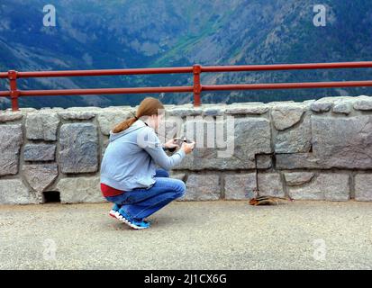 La giovane donna si inginocchia e fotografa un chippunk al Rock Creek Vista sulla Beartooth Pass Byway nel Montana. Lei è oltre a un muro di fermo. Foto Stock