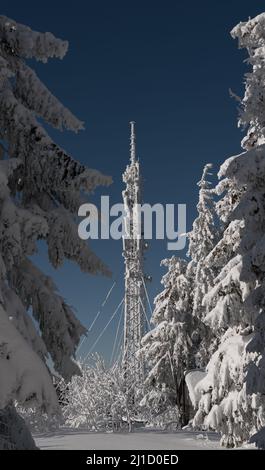 Torre di telecomunicazioni congelata nella foresta innevata Foto Stock