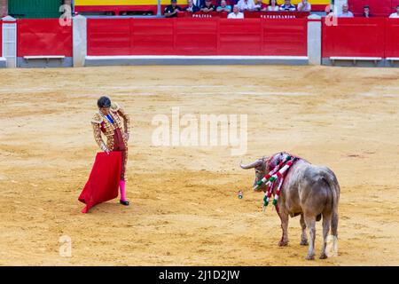 Granada, Spagna. Giugno 19, 2014. Torbore Jose Tomas in una corrida alla fiera del corpus a granada. Foto Stock