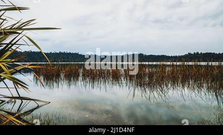 Una vista panoramica del tranquillo Lago Ianthe in Nuova Zelanda sotto un cielo nuvoloso Foto Stock