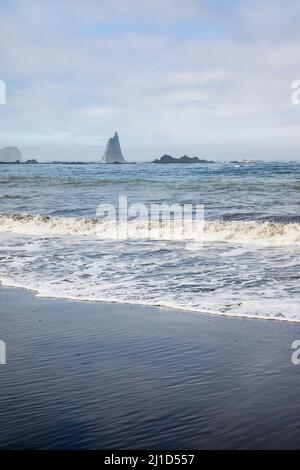 La costa olimpica meridionale dello stato di Washington vicino a Scott Creek, USA. Foto Stock