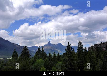 La foresta di conifere riempie il primo piano di questa scena dalla Beartooth Scenic Byway. I picchi pilota e indice sono visibili a distanza. Foto Stock