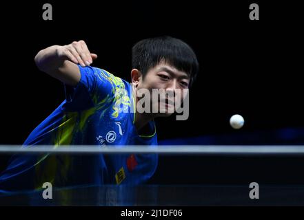 Doha, Qatar. 24th Mar 2022. Yuan Licen of China compete durante la partita finale maschile singles tra Yuan Licen of China e Qiu Dang of Germany al WTT Contender Doha 2022 a Doha, capitale del Qatar, 24 marzo 2022. Credit: Nikku/Xinhua/Alamy Live News Foto Stock