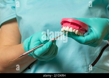 Mani del dentista con disposizione della mandibola umana e dello strumento dentale. Foto Stock