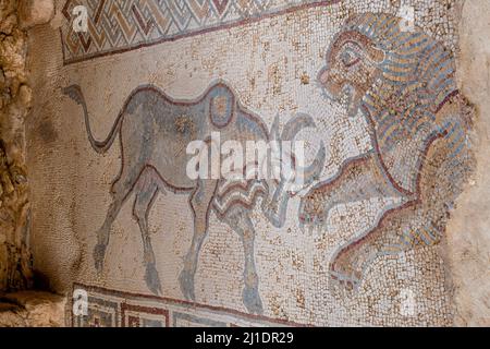 Un mosaico colorato al Parco Archeologico 2, Madaba, Giordania. Foto Stock